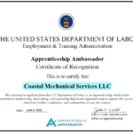 Apprenticeship Ambassador